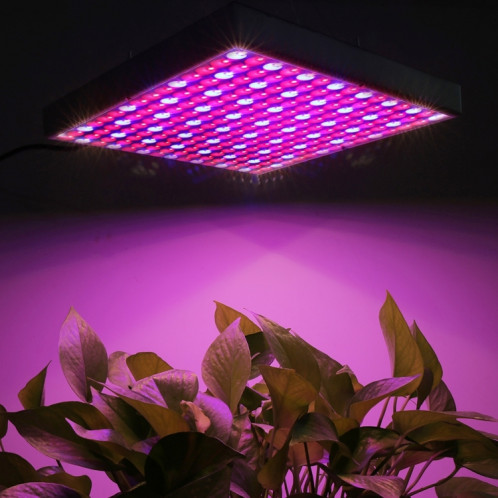 Lumière LED pour Aquarium éclairage pour plantes en croissance