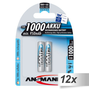 12x2 Ansmann NiMH piles 1000 Micro AAA 950 mAh 502567-20