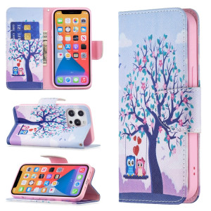 Modèle de dessin coloré Horizontal Flip Cuir Case avec porte-cartes et portefeuille pour iPhone 13 Pro (deux hiboux) SH403B1688-20