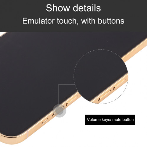 Modèle d'affichage factice pour iPhone 13 professionnel de l'écran noir pour iPhone 13 Pro (Gold) SH696J1498-07
