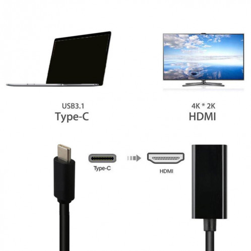 DNX-1 Mini Portable USB 3.1 Câble de Conversion USB-C / Type-C vers HDMI HD 4K (Noir) SH534B1161-07