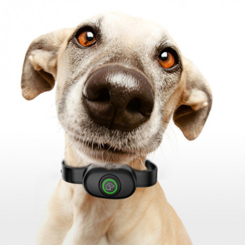 Collier anti-aboiement automatique pour animaux de compagnie, dresseur de chiens (noir) SH301A1313-010
